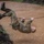 Foreign Military Attaches Event at Lightning Academy, Hawaii