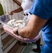 Side by side, pediatric care in Guyana during LAMAT 2026