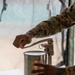 KMEP 26.1: Food Service Marines Cook in Expeditionary Field Kitchen