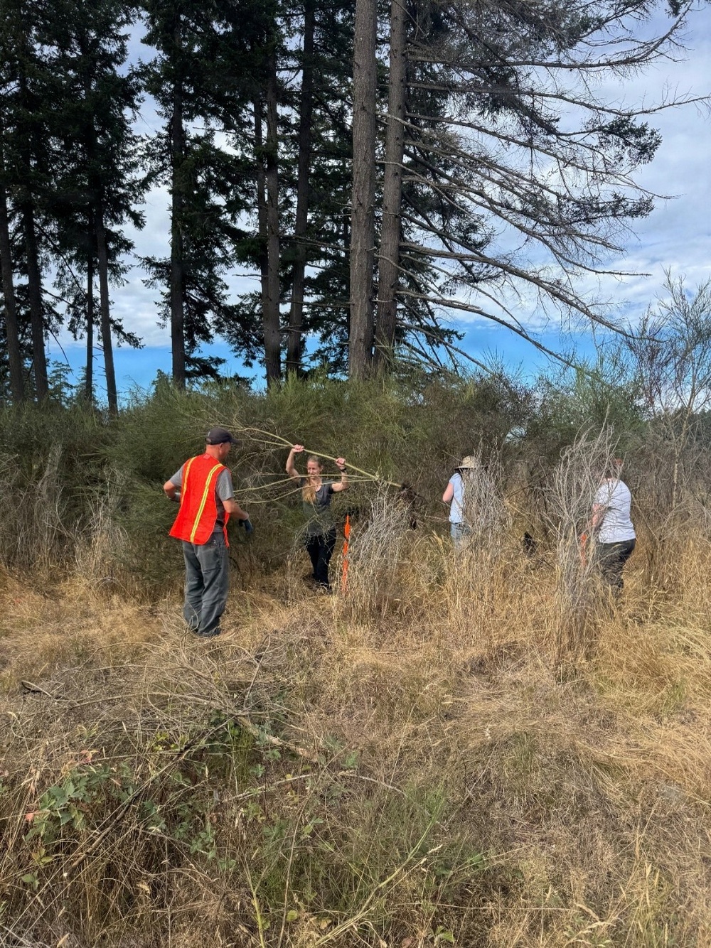 Volunteers strengthen JBLM’s prairies, training lands