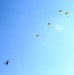 SOCEUR Airborne Operations