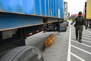 AFN Aviano Radio News: 31st SFS Conducts Military Working Dog TCCC Course