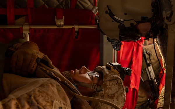 U.S. Army Soldiers and U.S. Marines assigned to Joint Task Force-Southern Guard participate in CASEVAC exercise