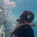 Underwater Egress Survival Training