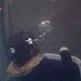 24th MEU Under Water Egress Training