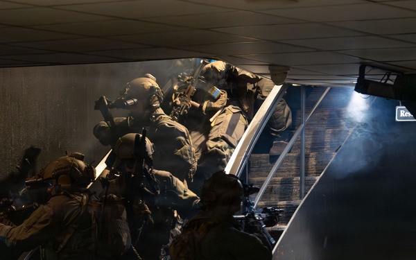 Coast Guard Maritime Security Response Team-East conducts boarding training aboard Spirit of Norfolk