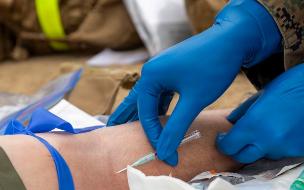 Sailors with 1st Dental Battalion conduct medical readiness training