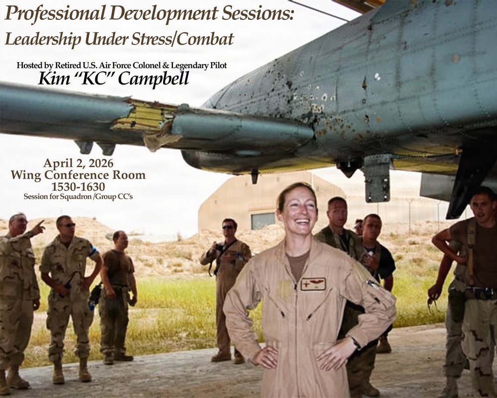 Leadership under stress flyer