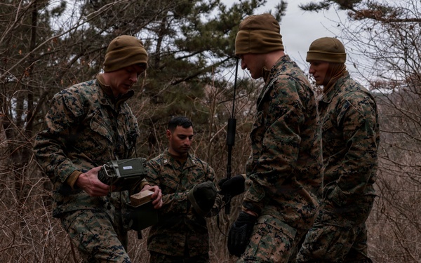 5th Air Naval Gunfire Liaison Company Marines conduct training with Republic of Korea service members
