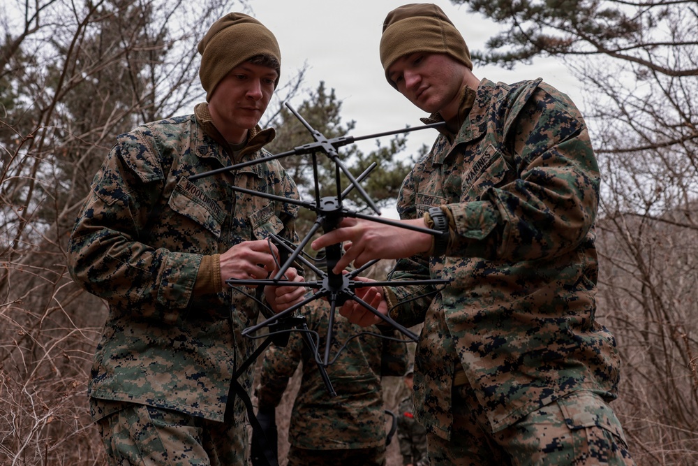 5th Air Naval Gunfire Liaison Company Marines conduct training with Republic of Korea service members