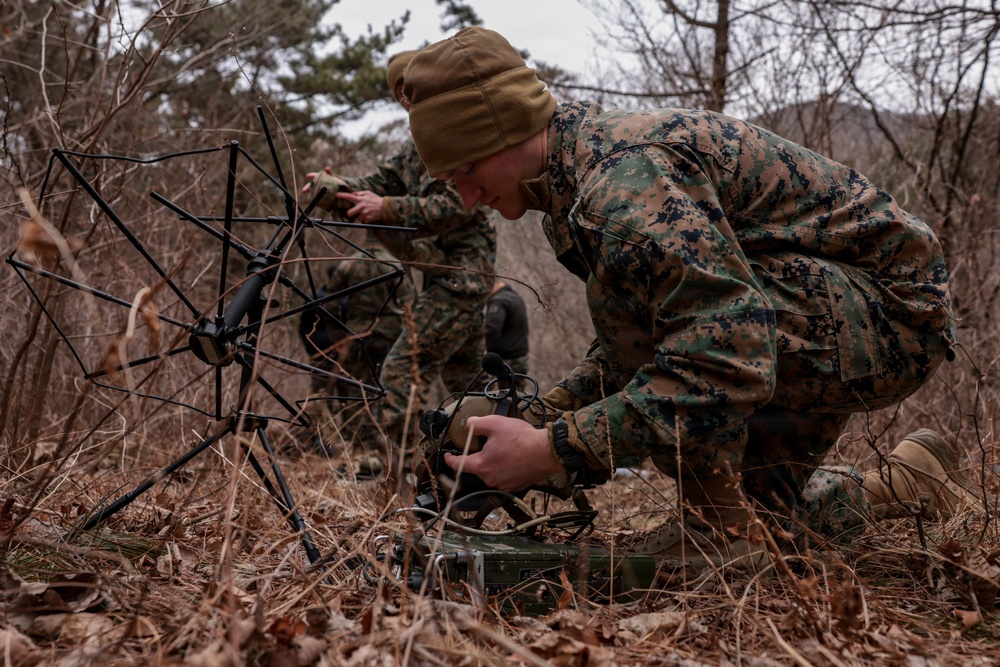 5th Air Naval Gunfire Liaison Company Marines conduct training with Republic of Korea service members