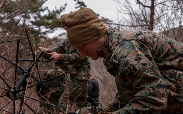 5th Air Naval Gunfire Liaison Company Marines conduct training with Republic of Korea service members