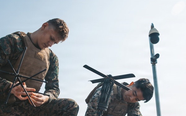 5th Air Naval Gunfire Liaison Company Marines operate communications systems and observe targets during Freedom Shield 26
