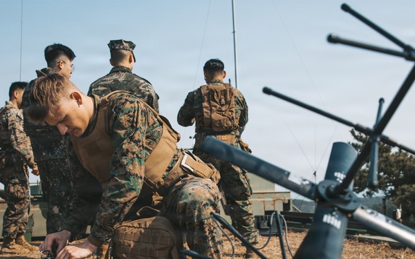 5th Air Naval Gunfire Liaison Company Marines operate communications systems and observe targets during Freedom Shield 26