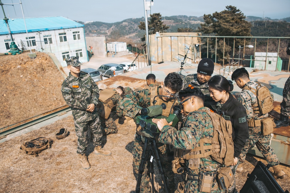 5th Air Naval Gunfire Liaison Company Marines operate communications systems and observe targets during Freedom Shield 26
