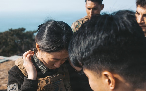 5th Air Naval Gunfire Liaison Company Marines operate communications systems and observe targets during Freedom Shield 26