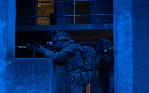 RMAS Cadets Train In Hohenfels