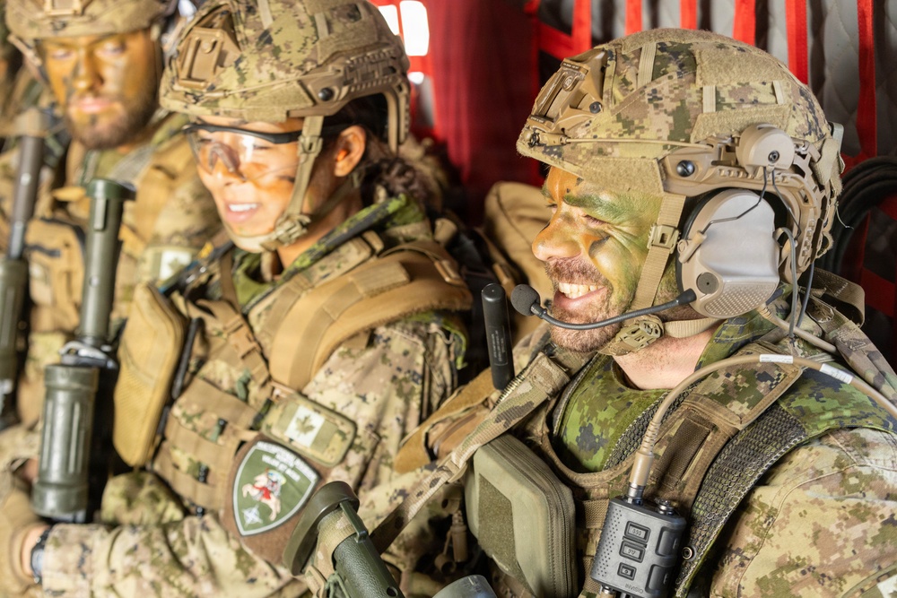 3rd CAB participates in a combined multinational air assault exercise Operation Perkons Strike