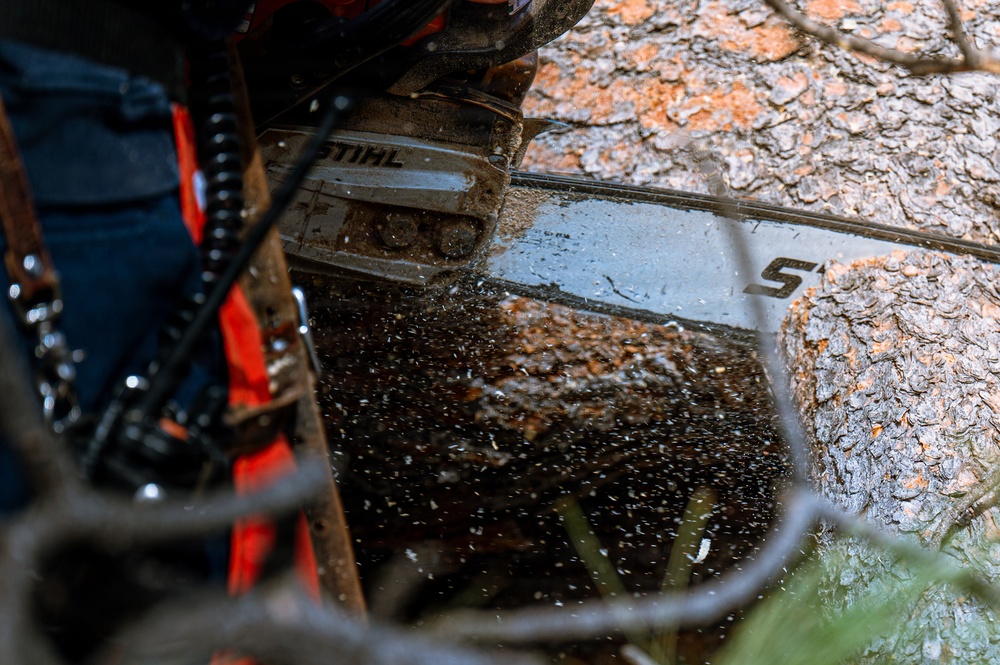 90MW cleans up after windstorm.