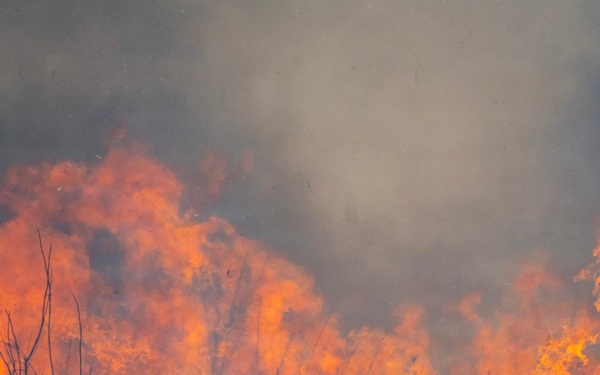 Wright-Patt conducts perscribed burn on historic prairie.