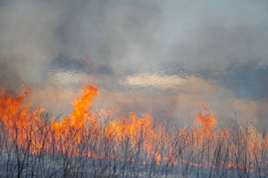 Strategic Voices Episode 4 - Critical Minerals - Who Sets the Prices?