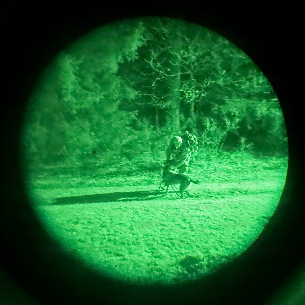 MWDs under NVGs