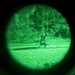 MWDs under NVGs