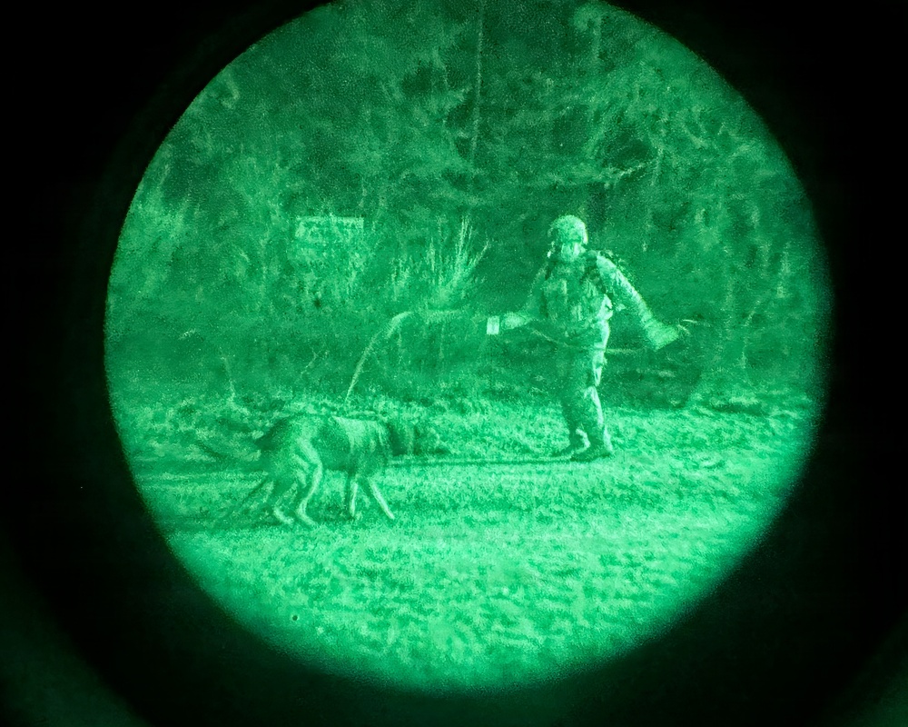 MWDs under NVGs