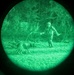 MWDs under NVGs