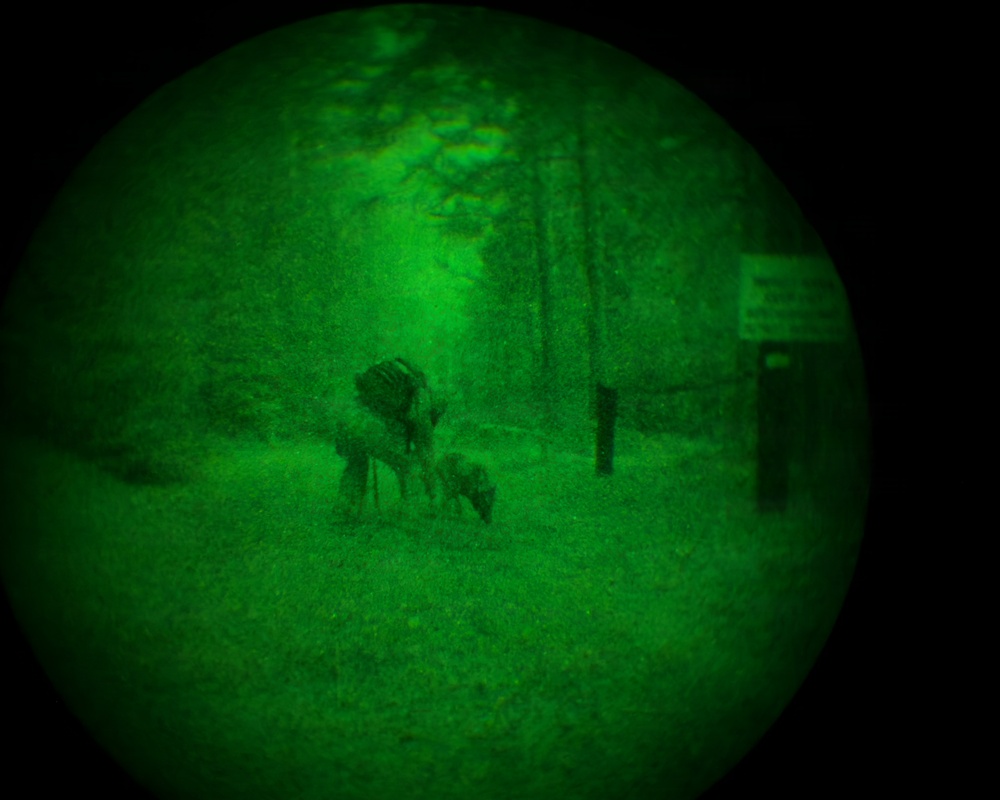 MWDs under NVGs