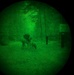 MWDs under NVGs