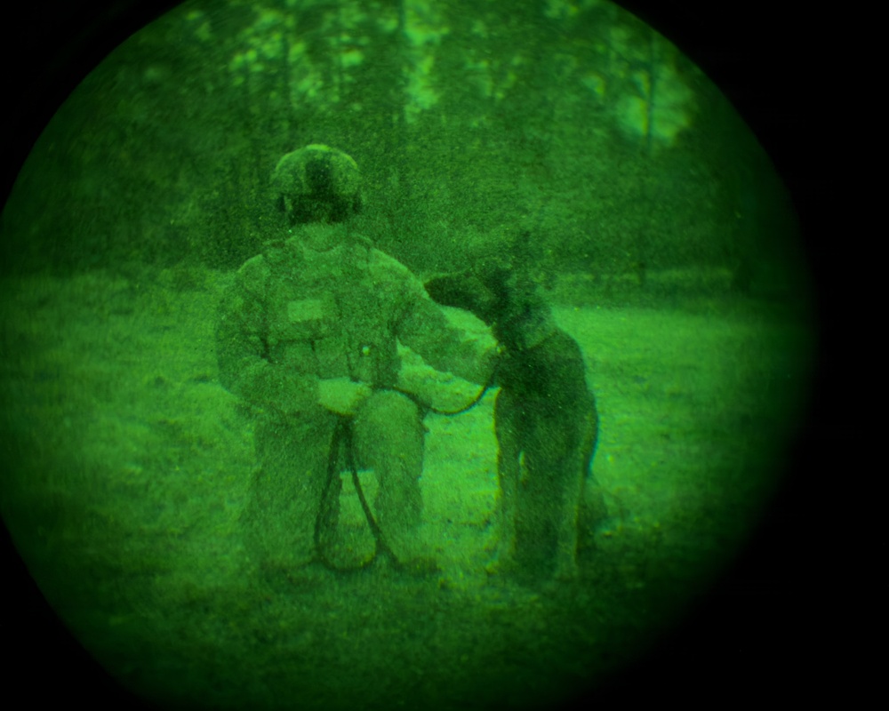 MWDs under NVGs