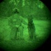 MWDs under NVGs
