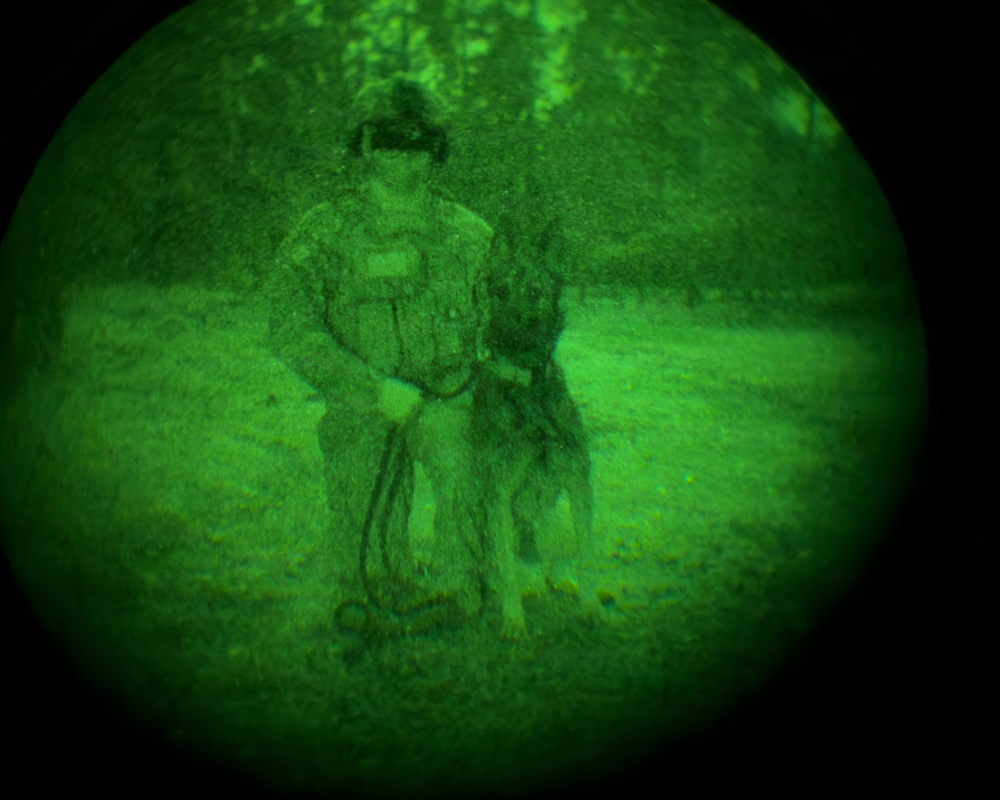 MWDs under NVGs