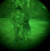 MWDs under NVGs