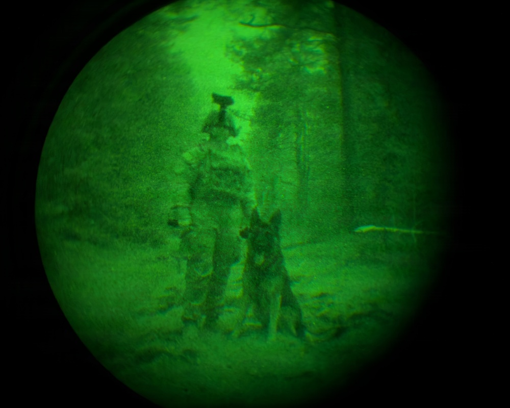 MWDs under NVGs