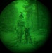 MWDs under NVGs