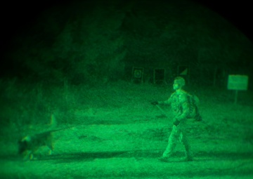 MWDs under NVGs