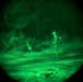 MWDs under NVGs
