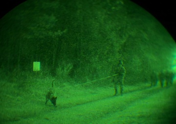 MWDs under NVGs