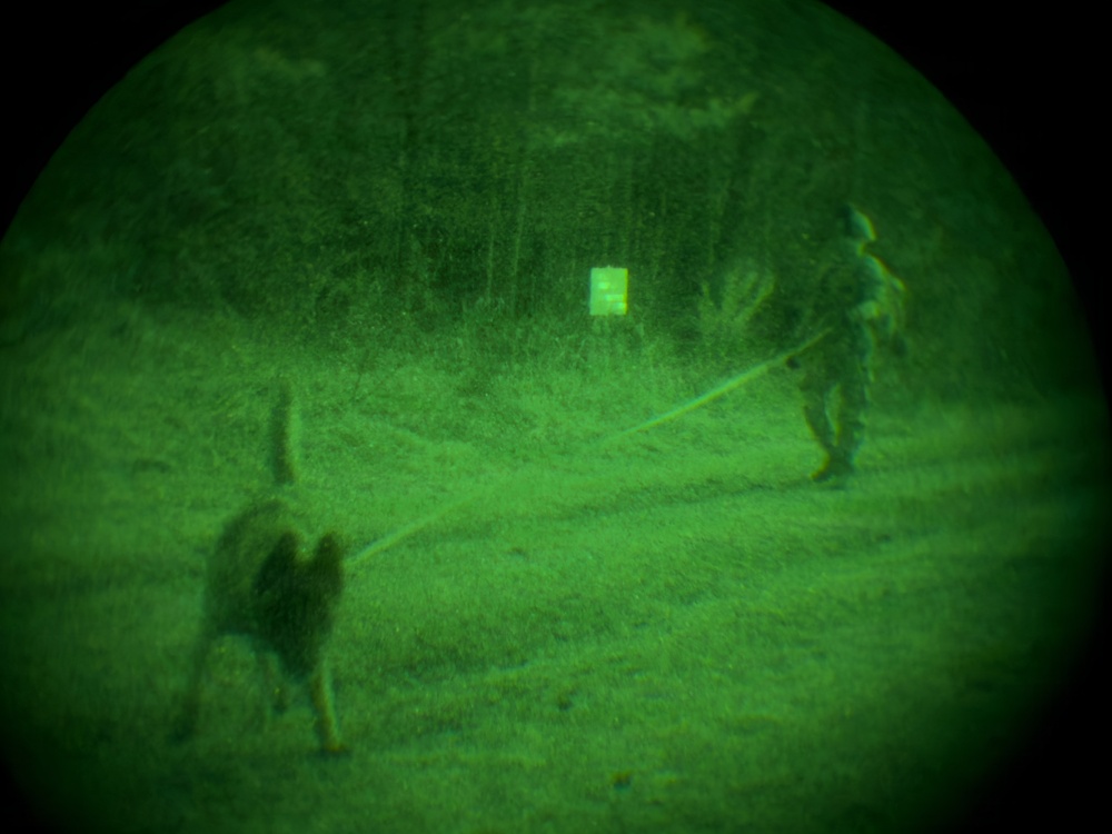 MWDs under NVGs