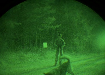 MWDs under NVGs