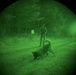 MWDs under NVGs