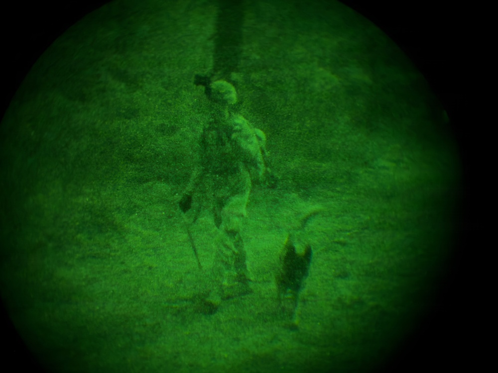 MWDs under NVGs