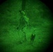 MWDs under NVGs