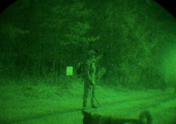 MWDs under NVGs
