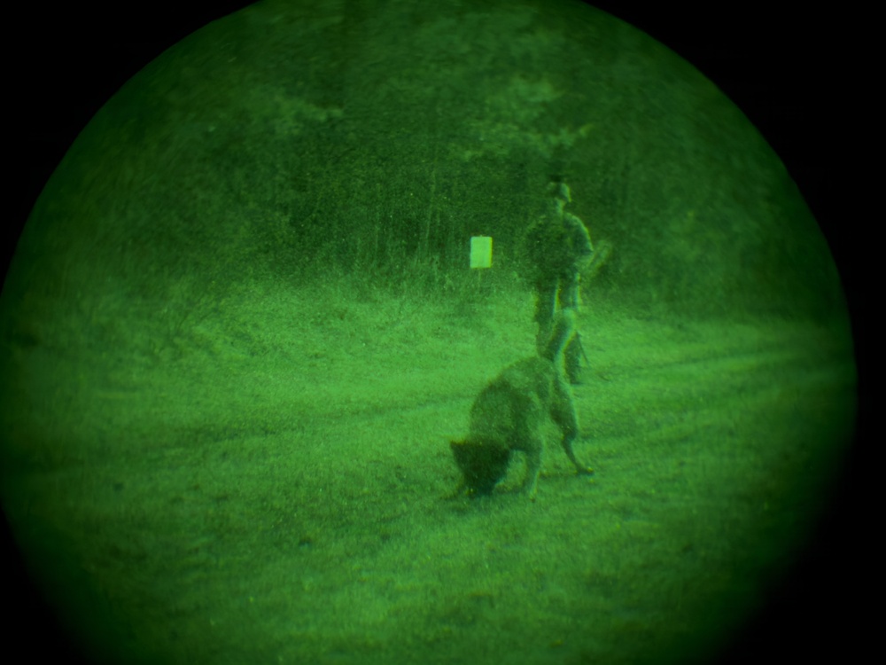 MWDs under NVGs