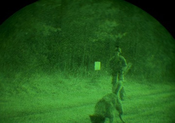 MWDs under NVGs