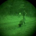 MWDs under NVGs