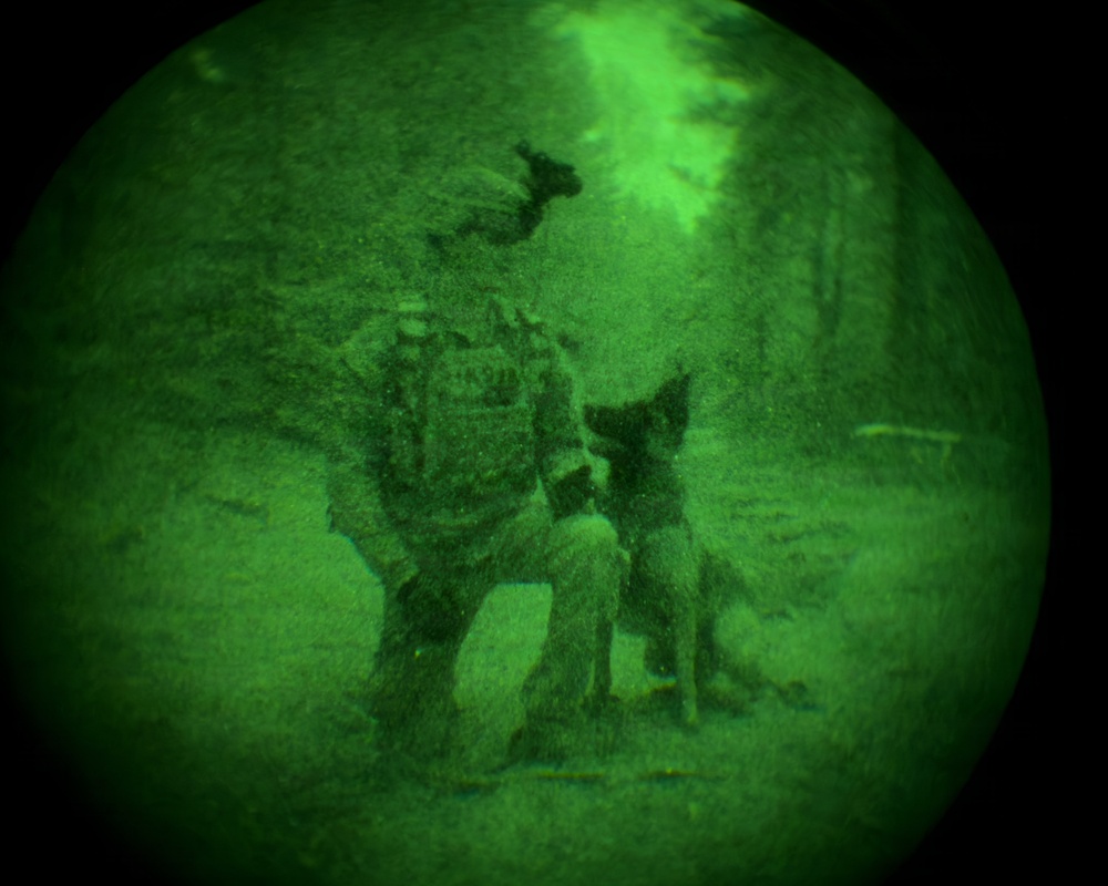 MWDs under NVGs